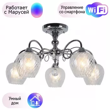 Люстра с поддержкой Маруси потолочная Omnilux OML-53607-05-M