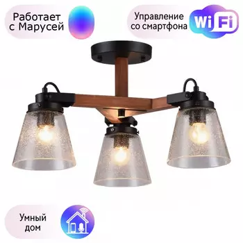 Люстра с поддержкой Маруси потолочная Omnilux OML-51007-03-M