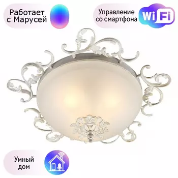 Люстра с поддержкой Маруси потолочная Omnilux OML-76417-03-M