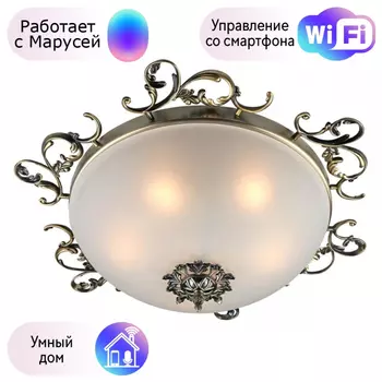 Люстра с поддержкой Маруси потолочная Omnilux OML-76507-05-M