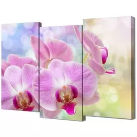 Модульная картинаToplight 100х150х3см TL-M2075