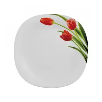 Набор десертных тарелок, La Opala, Quadra, Blossoms, 205 мм, 6 персон (LA1262023)