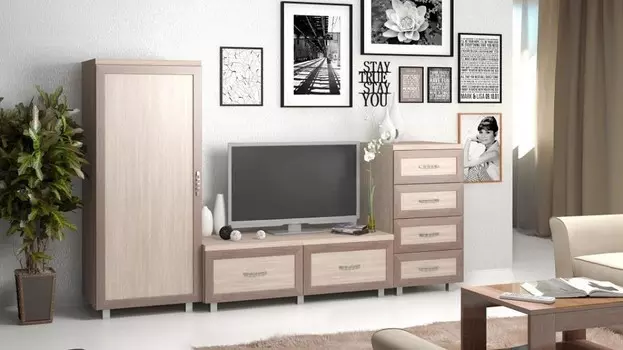 Набор для гостиной Квадро-6 Баронс 1272