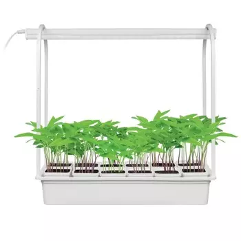 Набор «Минисад», светильник для растений светодиодный с подставкой Uniel ULT-P34-10W-SPSB (UL-00004149)