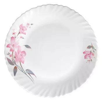 Набор обеденных тарелок, La Opala, Classique, Minerva, 250 мм, 6 персон (LA1222517)