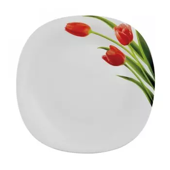 Набор суповых тарелок, La Opala, Quadra, Blossoms, 225 мм, 6 персон (LA1562223)