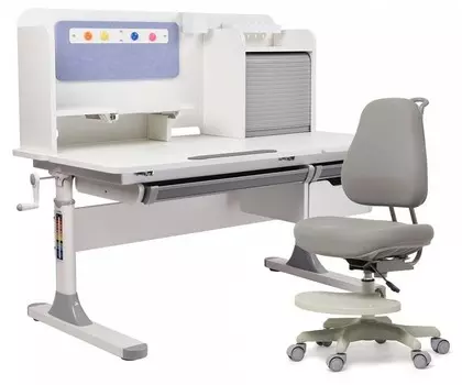 Набор учебный Camellia FunDesk 222523