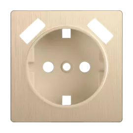 Накладка для розетки USB (шампань рифленый) Werkel W1179510
