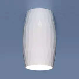 Накладной потолочный светильник Elektrostandard DLN104 GU10 белый (a047723)