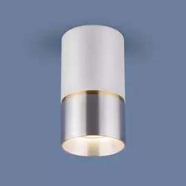 Накладной потолочный светильник Elektrostandard DLN106 GU10 белый/серебро (a047730)