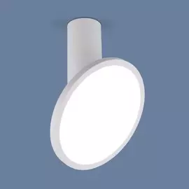 Накладной потолочный светодиодный светильник Elektrostandard Brain DLS029 12W 4200K белый матовый (a047771)