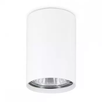 Накладной светильник Ambrella light Techno Spot TN213101