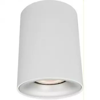 Накладной светильник Arte Lamp Torre A1532PL-1WH