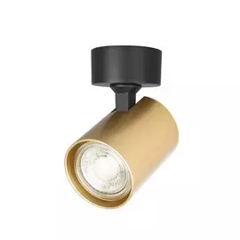 Накладной светильник Crystal Lux CLT 017CW1R BL-GO