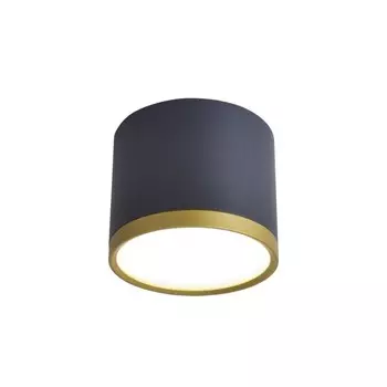 Накладной светильник Favourite Baral 3081-2C