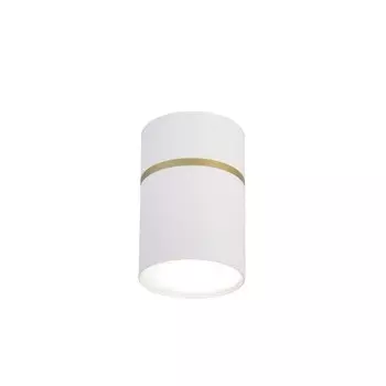 Накладной светильник Favourite Dunia 3067-1C