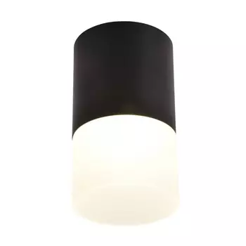 Накладной светильник Favourite Naram 3070-1C