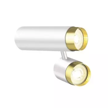 Накладной светильник Lumien Hall Sauris LH8020/2C-WT-GD