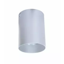 Накладной светильник Lumina Deco Flixton LDC 8053-A SS-D85*H115 SL