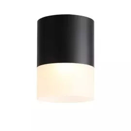 Накладной светильник Ottu ST-Luce ST100.442.15