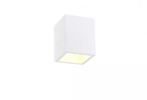 Накладной светильник SIMPLE STORY 2019-1CLW