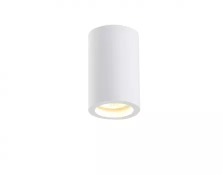 Накладной светильник SIMPLE STORY 2020-1CLW