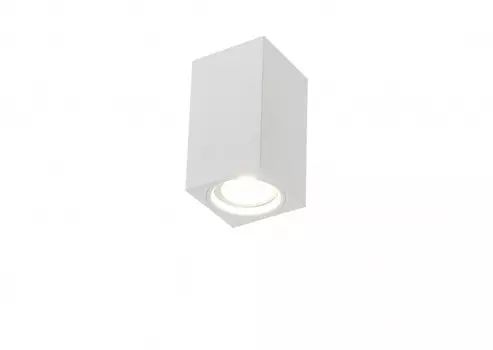 Накладной светильник SIMPLE STORY 2035-1CLW