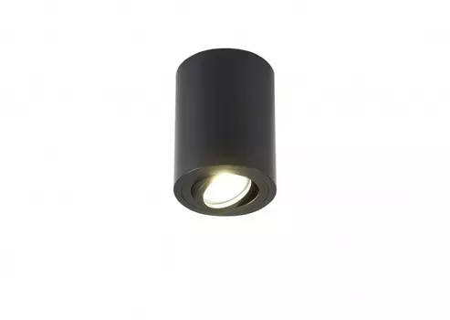 Накладной светильник SIMPLE STORY 2037-1CLB