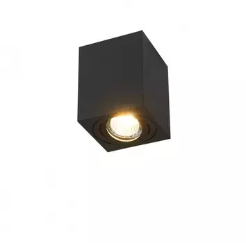 Накладной светильник SIMPLE STORY 2038-1CLB