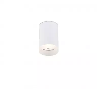 Накладной светильник SIMPLE STORY 2039-1CLW