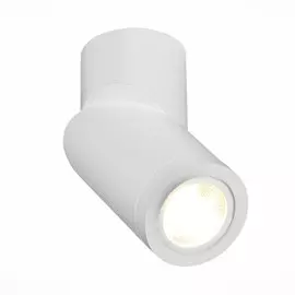 Накладной светильник ST Luce ST650.502.01