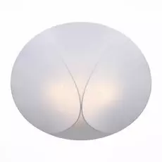 Накладной светильник ST Luce Tonico SL360.552.04
