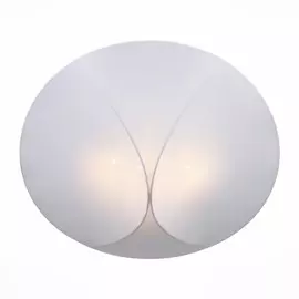 Накладной светильник ST Luce Tonico SL360.552.04