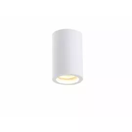 Накладной светильник Syneil 2020-1CLW