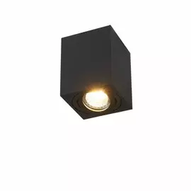 Накладной светильник Syneil 2038-1CLB