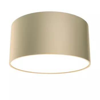 Накладной светильник Technical Zon C032CL-12W3K-RD-MG