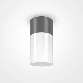 Накладной светильник Willis Maytoni O418CL-01GR