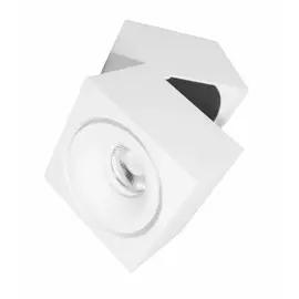 Накладной светодиодный поворотный светильник Lumina Deco Edford LDC 8056-GYN-10WCOB D100*W110 WT