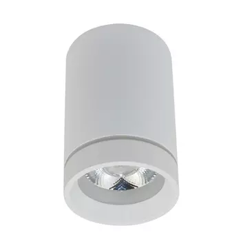 Накладной светодиодный светильник Aployt Edda APL.0054.09.10