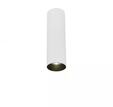 Накладной светодиодный светильник SIMPLE STORY 2052-LED10CLW