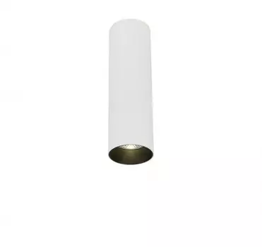 Накладной светодиодный светильник SIMPLE STORY 2053-LED10CLW