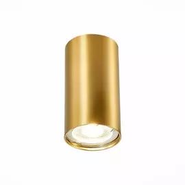 Накладной светодиодный светильник ST Luce ST110.207.01