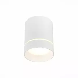 Накладной светодиодный светильник ST Luce ST115.542.12