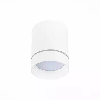 Накладной светодиодный светильник ST Luce ST115.542.07
