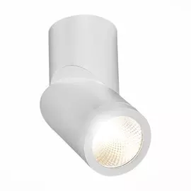 Накладной светодиодный светильник ST Luce ST650.542.10