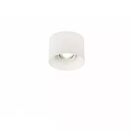 Накладной светодиодный светильник Syneil 2059-LED7CLW