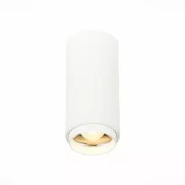 Накладной светодиодный светильник Zoom St Luce ST600.532.10