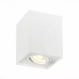 Накладной точечный поворотный светильник ST-Luce ST109.507.01