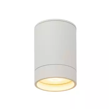 Накладной светильник Denkirs DK2050-WH