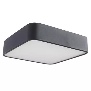 Настенно-полоточный светильник A7210PL-2BK Arte Lamp